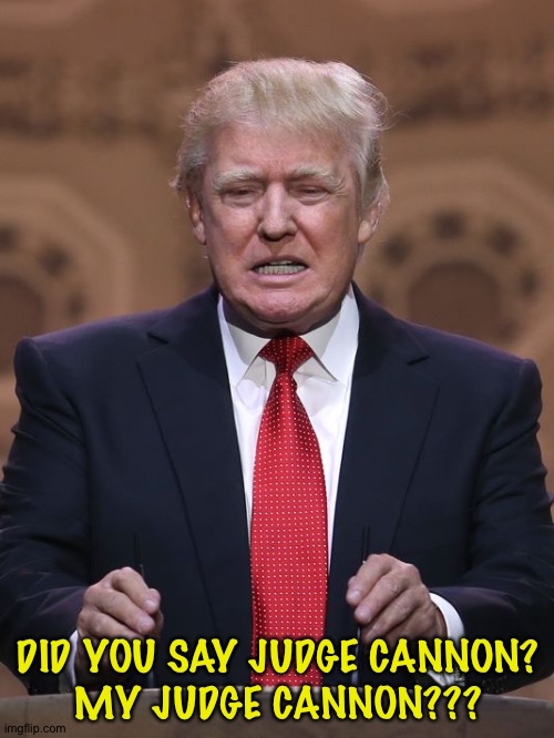 Donald Trump | DID YOU SAY JUDGE CANNON?
MY JUDGE CANNON??? | image tagged in donald trump | made w/ Imgflip meme maker