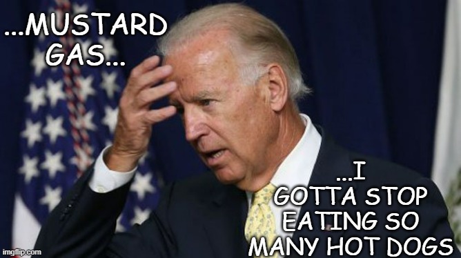 Joe Biden worries | ...MUSTARD GAS... ...I GOTTA STOP EATING SO MANY HOT DOGS | image tagged in joe biden worries | made w/ Imgflip meme maker