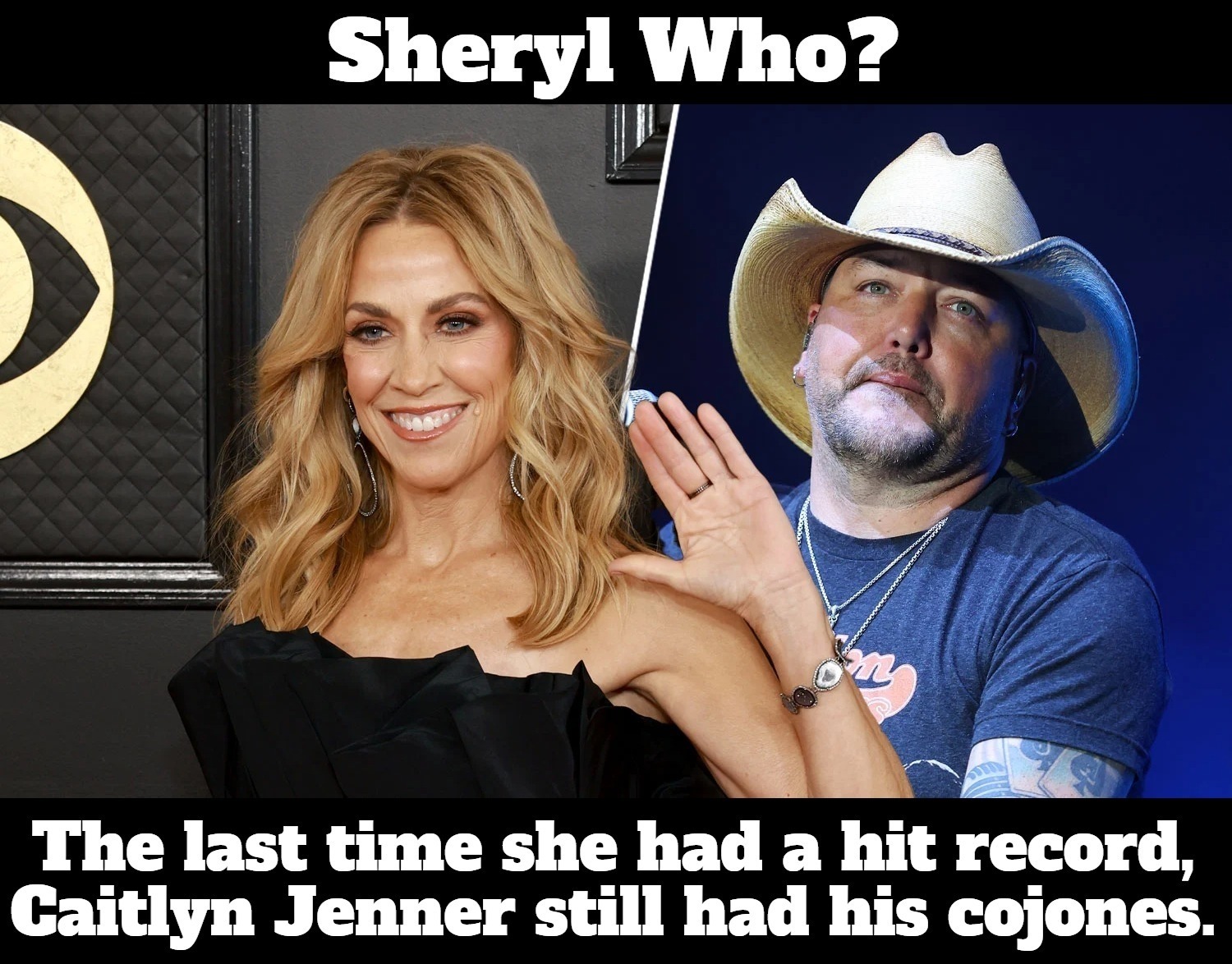 Sheryl Who? | image tagged in sheryl crow,caitlyn jenner,brucaitlyn jenner,cojones,always has been,wannabe | made w/ Imgflip meme maker