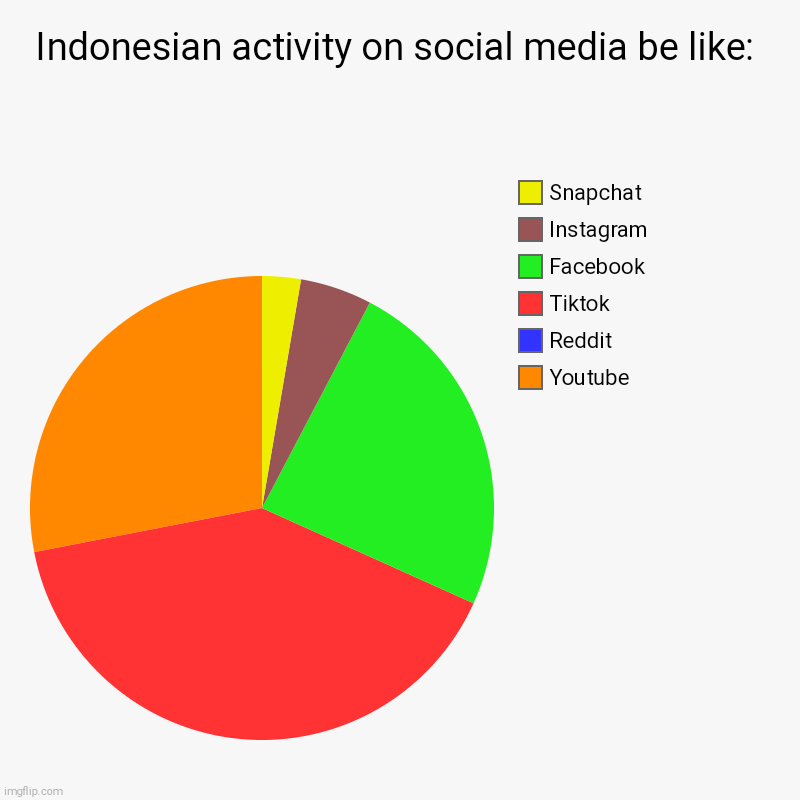 Reddit was banned for a reason | Indonesian activity on social media be like: | Youtube, Reddit, Tiktok, Facebook, Instagram, Snapchat | image tagged in charts,pie charts,indonesia,no,reddit | made w/ Imgflip chart maker