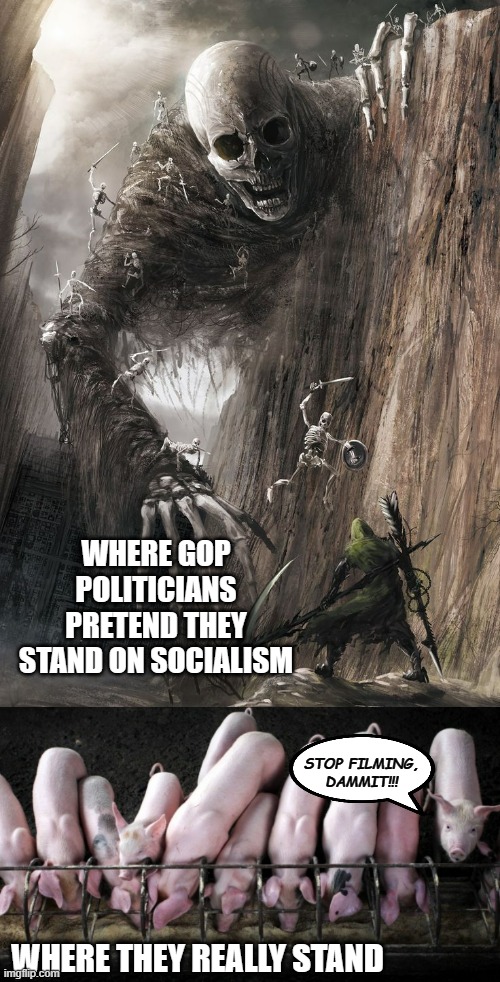 Mhmm. | WHERE GOP POLITICIANS PRETEND THEY STAND ON SOCIALISM; STOP FILMING, DAMMIT!!! WHERE THEY REALLY STAND | image tagged in skeleton monster,pigs at trough,socialism,conservative hypocrisy,and that's a fact | made w/ Imgflip meme maker