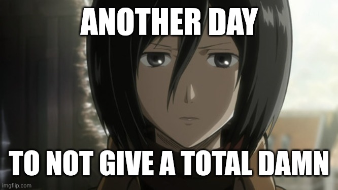 Another day, another migraine. | ANOTHER DAY; TO NOT GIVE A TOTAL DAMN | image tagged in mikasa-ackerman | made w/ Imgflip meme maker