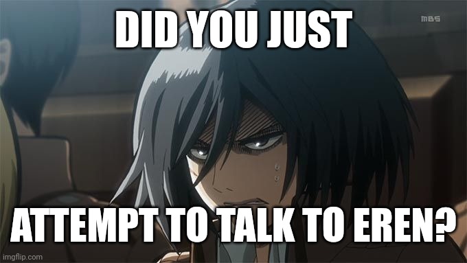 A true fact | DID YOU JUST; ATTEMPT TO TALK TO EREN? | image tagged in angry mikasa | made w/ Imgflip meme maker