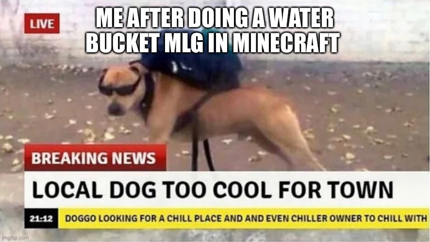 Average bottle flip experience | ME AFTER DOING A WATER BUCKET MLG IN MINECRAFT | image tagged in local dog too cool for town | made w/ Imgflip meme maker