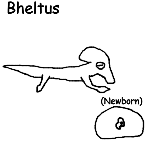 Bheltus Blank Meme Template