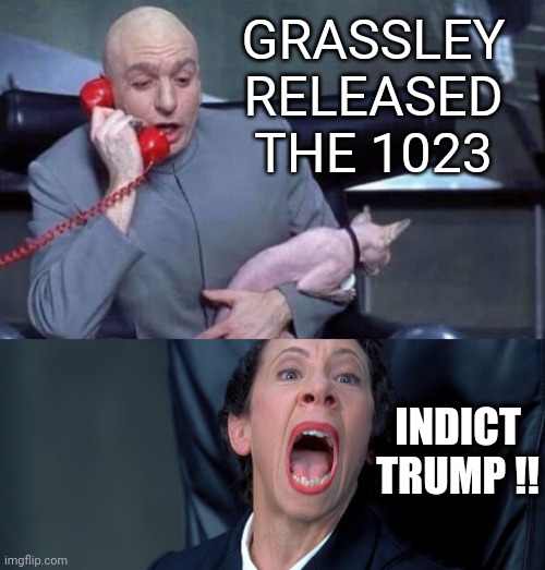 Dr Evil and Frau | GRASSLEY RELEASED THE 1023; INDICT TRUMP !! | image tagged in dr evil and frau | made w/ Imgflip meme maker