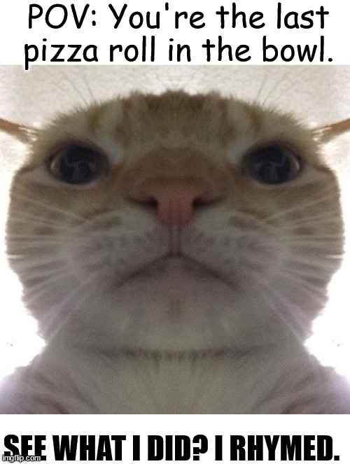 lol | POV: You're the last pizza roll in the bowl. SEE WHAT I DID? I RHYMED. | image tagged in blank white template,staring cat/gusic | made w/ Imgflip meme maker