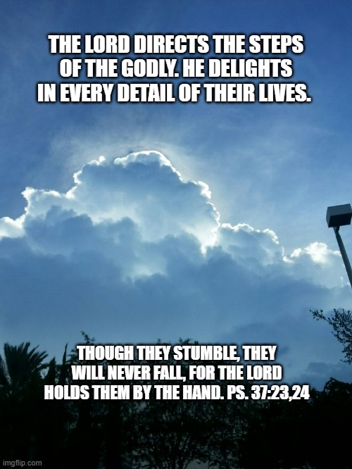 THE LORD DIRECTS THE STEPS OF THE GODLY. HE DELIGHTS IN EVERY DETAIL OF THEIR LIVES. THOUGH THEY STUMBLE, THEY WILL NEVER FALL, FOR THE LORD HOLDS THEM BY THE HAND. PS. 37:23,24 | made w/ Imgflip meme maker