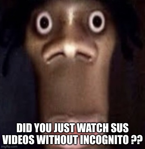 Quandale dingle | DID YOU JUST WATCH SUS VIDEOS WITHOUT INCOGNITO ?? | image tagged in quandale dingle | made w/ Imgflip meme maker