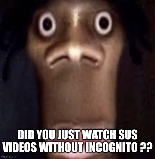 Quandale dingle | DID YOU JUST WATCH SUS VIDEOS WITHOUT INCOGNITO ?? | image tagged in quandale dingle | made w/ Imgflip meme maker