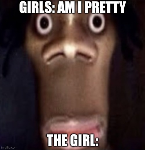 omg yass! | GIRLS: AM I PRETTY; THE GIRL: | image tagged in quandale dingle | made w/ Imgflip meme maker