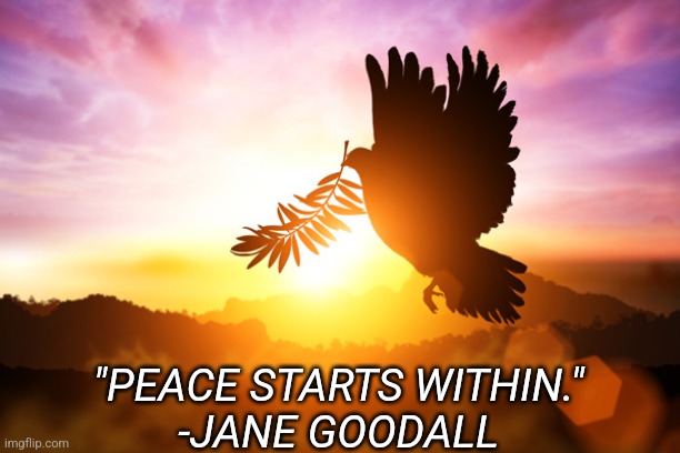 Peace starts within. | "PEACE STARTS WITHIN."
-JANE GOODALL | image tagged in peace,internal peace,jane goodall,reflection | made w/ Imgflip meme maker
