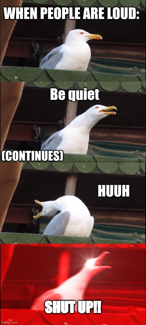 (visible rage) | WHEN PEOPLE ARE LOUD:; Be quiet; (CONTINUES); HUUH; SHUT UP!! | image tagged in memes,inhaling seagull | made w/ Imgflip meme maker