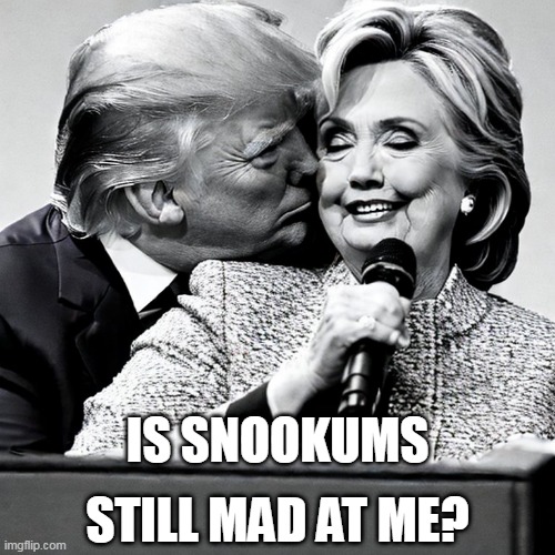 A girl can dream, can't she? | IS SNOOKUMS; STILL MAD AT ME? | image tagged in hillary clinton,donald trump | made w/ Imgflip meme maker