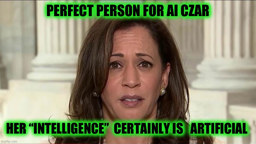The Epitome of “Artificial” intelligence! | PERFECT PERSON FOR AI CZAR; HER “INTELLIGENCE”  CERTAINLY IS   ARTIFICIAL | image tagged in kamala harris | made w/ Imgflip meme maker