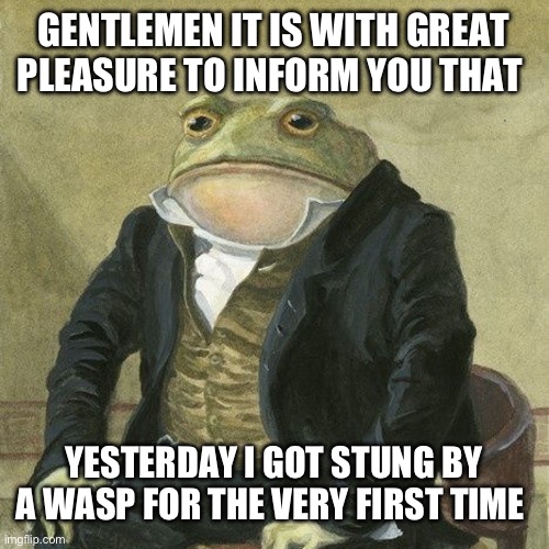 R.I.P mr wasp, 2023:2023 | GENTLEMEN IT IS WITH GREAT PLEASURE TO INFORM YOU THAT; YESTERDAY I GOT STUNG BY A WASP FOR THE VERY FIRST TIME | image tagged in gentlemen it is with great pleasure to inform you that | made w/ Imgflip meme maker