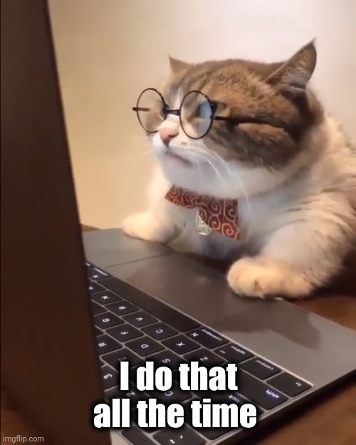 research cat | I do that all the time | image tagged in research cat | made w/ Imgflip meme maker