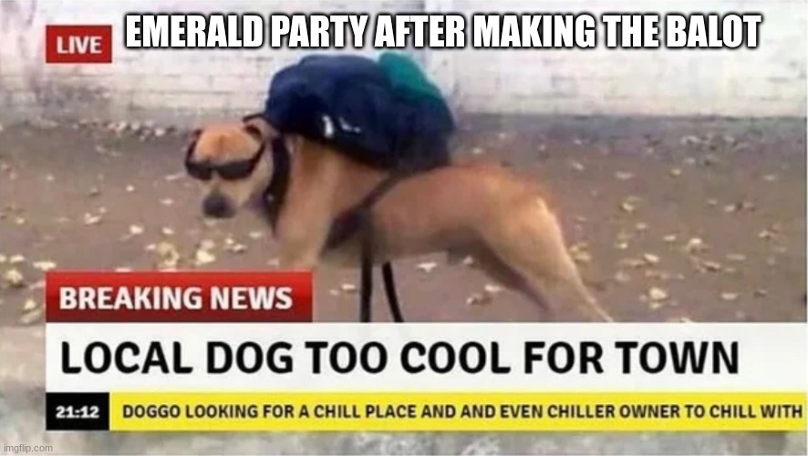 Emerald Party Meme | EMERALD PARTY AFTER MAKING THE BALOT | image tagged in local dog too cool for town | made w/ Imgflip meme maker