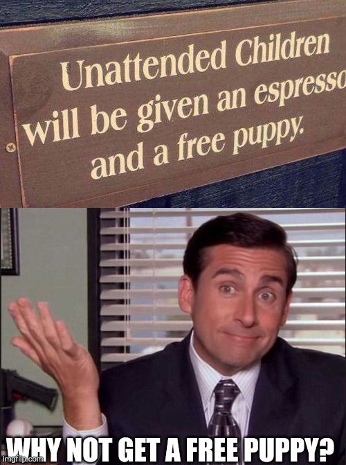 Parents ditch those kids | WHY NOT GET A FREE PUPPY? | image tagged in michael scott,puppies | made w/ Imgflip meme maker
