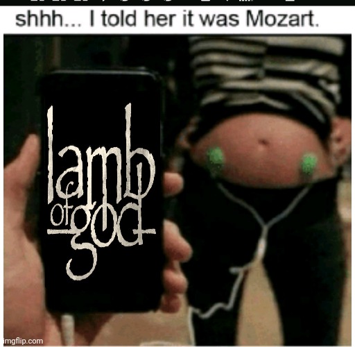 I like lamb of god | image tagged in mozart,lamb,of,god,heavy metal | made w/ Imgflip meme maker