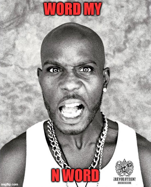 DMX Yell | WORD MY N WORD | image tagged in dmx yell | made w/ Imgflip meme maker