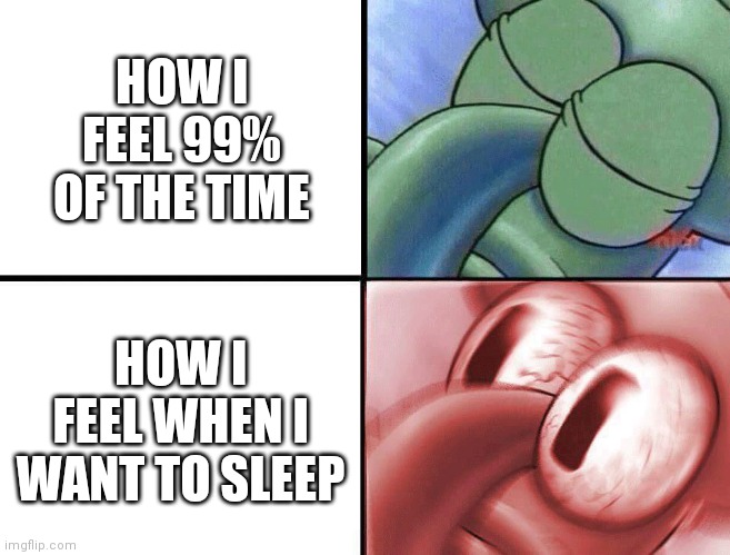 Why... | HOW I FEEL 99% OF THE TIME; HOW I FEEL WHEN I WANT TO SLEEP | image tagged in sleeping squidward,sleeping shaq,brain before sleep,sleep,soldier protecting sleeping child,why are you reading the tags | made w/ Imgflip meme maker