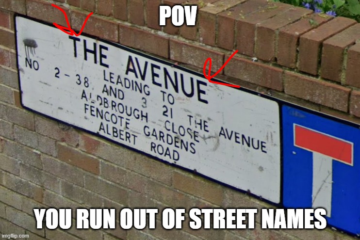 go onto the avenue then in 5 yards take a left onto the lane | POV; YOU RUN OUT OF STREET NAMES | image tagged in funny signs,stupid street names,stupid signs | made w/ Imgflip meme maker