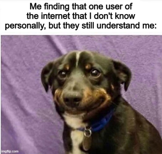 Seems like more therapy is taken place on the internet... | Me finding that one user of the internet that I don't know personally, but they still understand me: | image tagged in sad dog | made w/ Imgflip meme maker