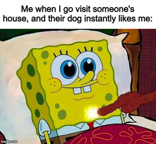 Isn't it wholesome? :D | Me when I go visit someone's house, and their dog instantly likes me: | image tagged in wholesome | made w/ Imgflip meme maker