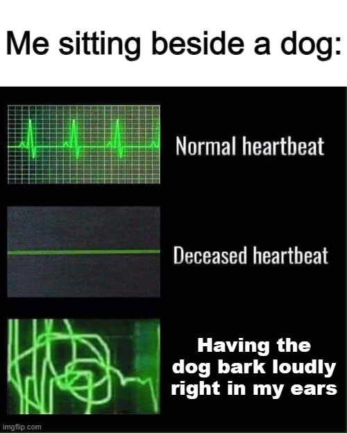 *Dies of heart attack* | Me sitting beside a dog:; Having the dog bark loudly right in my ears | image tagged in heart beat meme | made w/ Imgflip meme maker