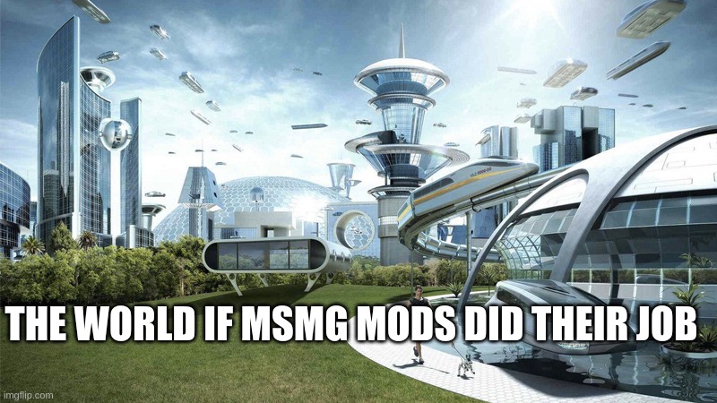 The future world if | THE WORLD IF MSMG MODS DID THEIR JOB | image tagged in the future world if | made w/ Imgflip meme maker