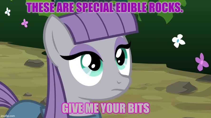 Maud Pie - MLP | THESE ARE SPECIAL EDIBLE ROCKS. GIVE ME YOUR BITS | image tagged in maud pie - mlp | made w/ Imgflip meme maker