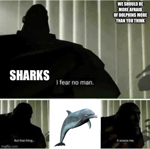 Sharks are afraid of dolphins and it’s a good thing | WE SHOULD BE MORE AFRAID OF DOLPHINS MORE THAN YOU THINK; SHARKS | image tagged in i fear no man | made w/ Imgflip meme maker