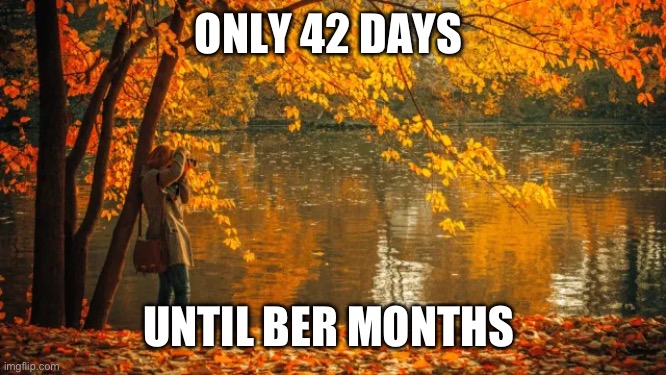 Only 42 days until Ber Months | ONLY 42 DAYS; UNTIL BER MONTHS | image tagged in autumn leaves | made w/ Imgflip meme maker