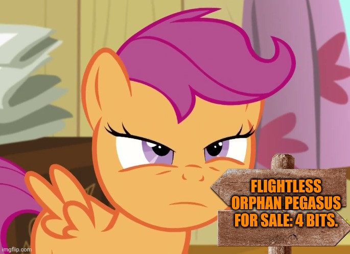 Suspicious Scootaloo (MLP) | FLIGHTLESS ORPHAN PEGASUS FOR SALE: 4 BITS. | image tagged in suspicious scootaloo mlp | made w/ Imgflip meme maker