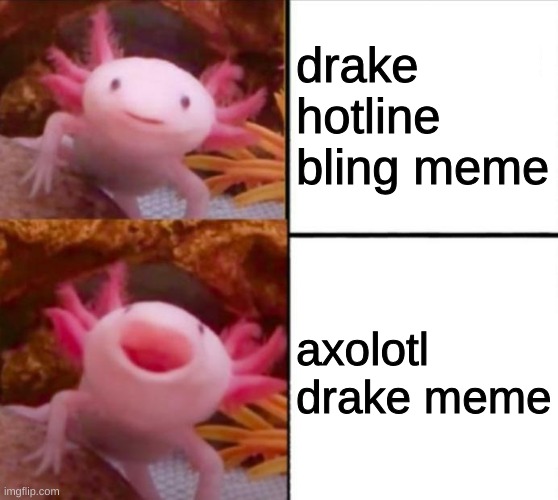 Axolotl da best | drake hotline bling meme; axolotl drake meme | image tagged in axolotl drake | made w/ Imgflip meme maker