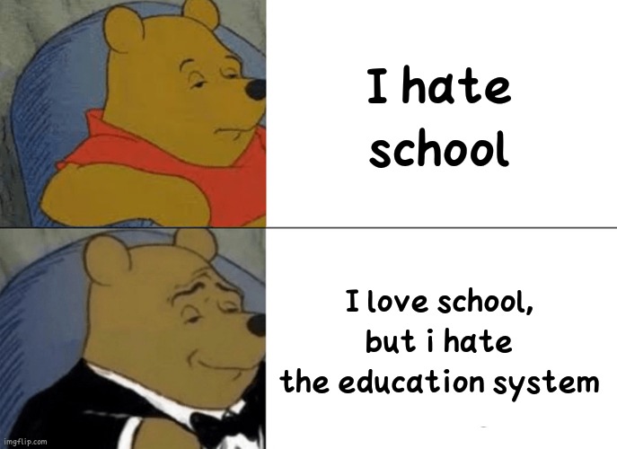 Truly fax | I hate school; I love school, but i hate the education system | image tagged in memes,tuxedo winnie the pooh | made w/ Imgflip meme maker