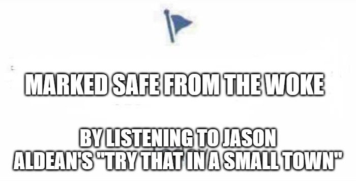 safe from wokeness | MARKED SAFE FROM THE WOKE; BY LISTENING TO JASON ALDEAN'S "TRY THAT IN A SMALL TOWN" | image tagged in marked safe from | made w/ Imgflip meme maker