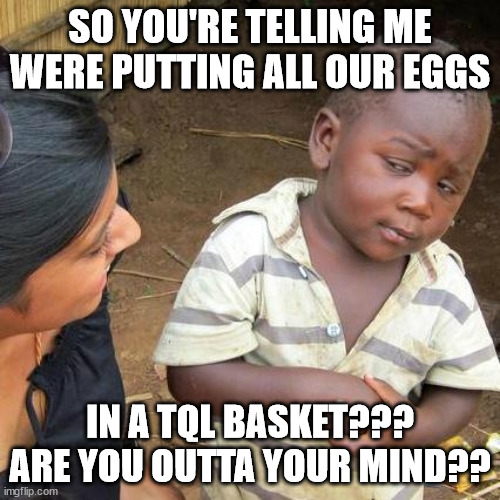 TQL MEME | SO YOU'RE TELLING ME WERE PUTTING ALL OUR EGGS; IN A TQL BASKET??? ARE YOU OUTTA YOUR MIND?? | image tagged in memes,third world skeptical kid | made w/ Imgflip meme maker