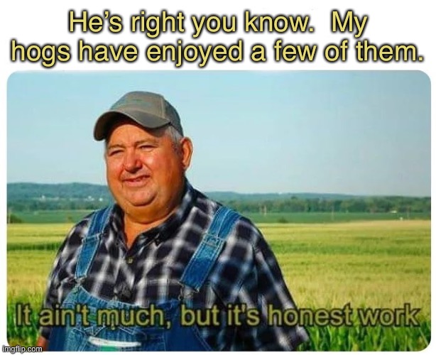 Honest work | He’s right you know.  My hogs have enjoyed a few of them. | image tagged in honest work | made w/ Imgflip meme maker