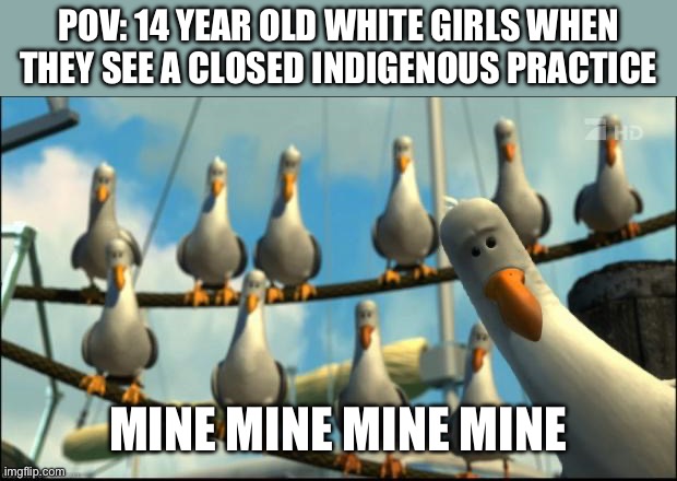 Nemo Seagulls Mine | POV: 14 YEAR OLD WHITE GIRLS WHEN THEY SEE A CLOSED INDIGENOUS PRACTICE; MINE MINE MINE MINE | image tagged in nemo seagulls mine | made w/ Imgflip meme maker