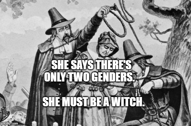Witch Hunt! | SHE SAYS THERE'S ONLY TWO GENDERS.                          SHE MUST BE A WITCH. | image tagged in witch hunt | made w/ Imgflip meme maker