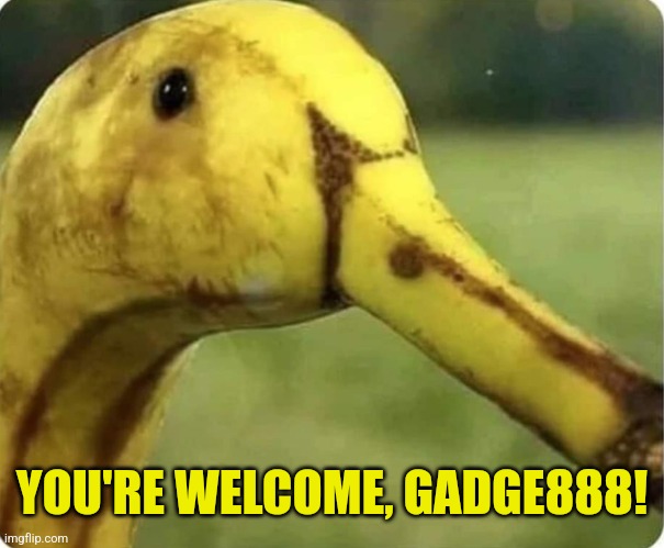 YOU'RE WELCOME, GADGE888! | made w/ Imgflip meme maker