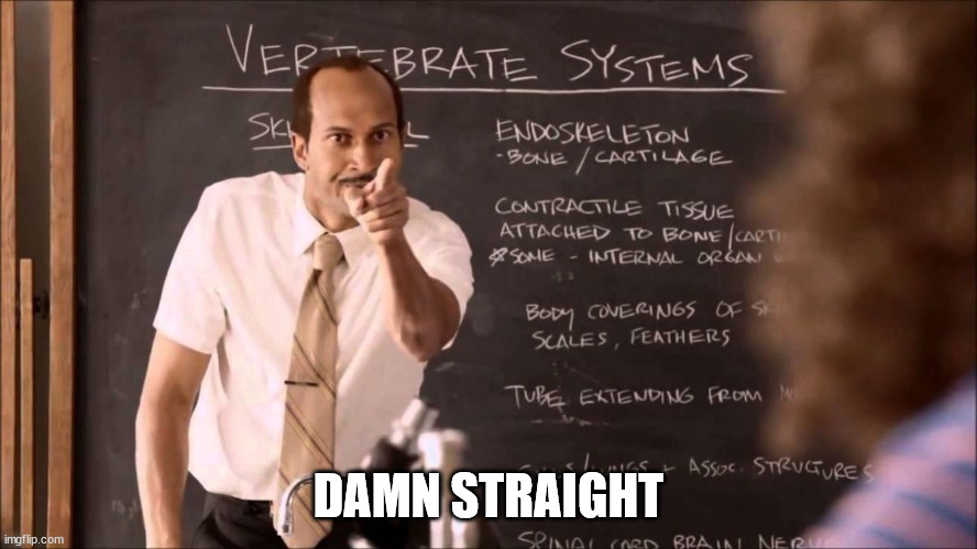 Key and Peele Substitute Teacher | DAMN STRAIGHT | image tagged in key and peele substitute teacher | made w/ Imgflip meme maker