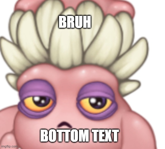 Bruh moment | BRUH; BOTTOM TEXT | image tagged in denchuhs | made w/ Imgflip meme maker