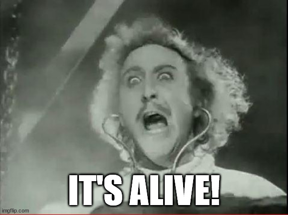 Young Frankenstein | IT'S ALIVE! | image tagged in young frankenstein | made w/ Imgflip meme maker