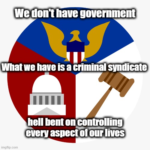 Infiltration v Invasion | We don't have government; What we have is a criminal syndicate; hell bent on controlling every aspect of our lives | image tagged in american politicss,'murica,freedom in murica,life in the matrix | made w/ Imgflip meme maker