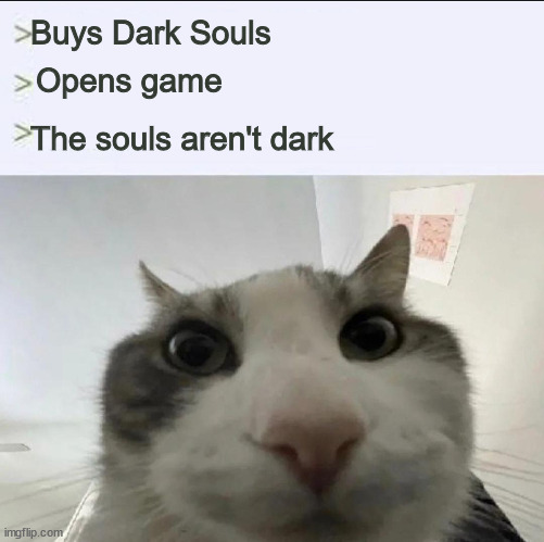 Cat looks inside | Buys Dark Souls; Opens game; The souls aren't dark | image tagged in cat looks inside | made w/ Imgflip meme maker