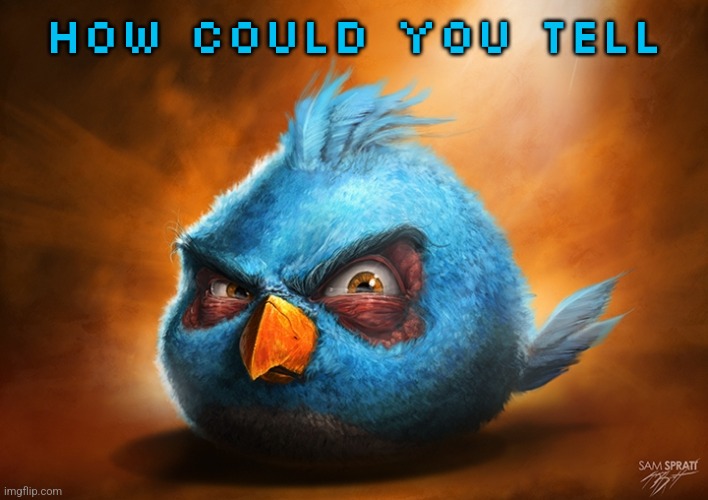 angry birds blue | HOW COULD YOU TELL | image tagged in angry birds blue | made w/ Imgflip meme maker