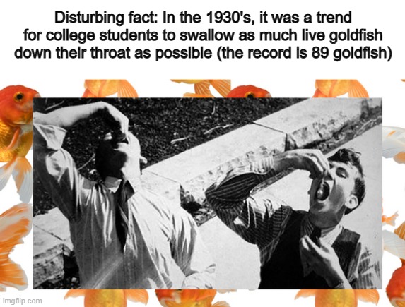 Us boys can be so weird... :[] | Disturbing fact: In the 1930's, it was a trend for college students to swallow as much live goldfish down their throat as possible (the record is 89 goldfish) | made w/ Imgflip meme maker